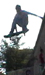 Scott